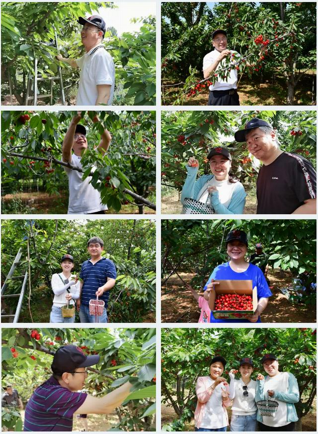 1634208893682837.jpg 2.jpg