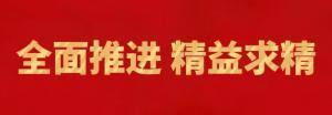 履踐致遠(yuǎn)向未來 | 洛陽正大精英特訓(xùn)營“磐石計(jì)劃”精益生產(chǎn)項(xiàng)目召開復(fù)盤追蹤會(huì)