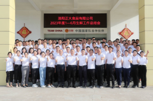 總結(jié)過去，計(jì)劃未來，協(xié)同創(chuàng)新，再創(chuàng)佳績！洛陽正大舉行2023年上半年工作總結(jié)會(huì)議